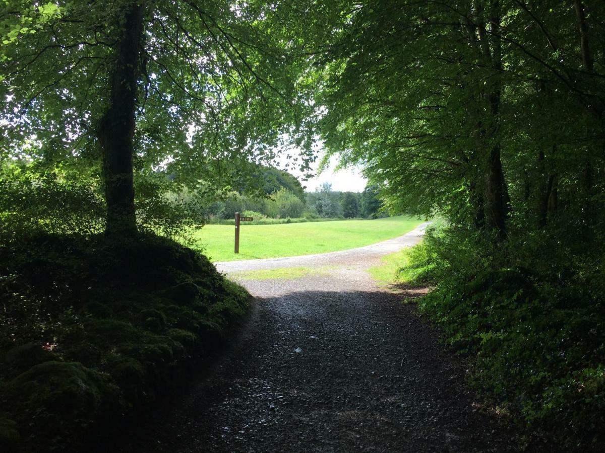 Curraghchase Cottage Kilcornan Exterior foto